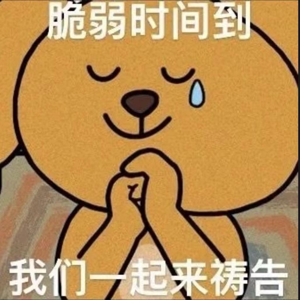 闹的装修日记（软装中）