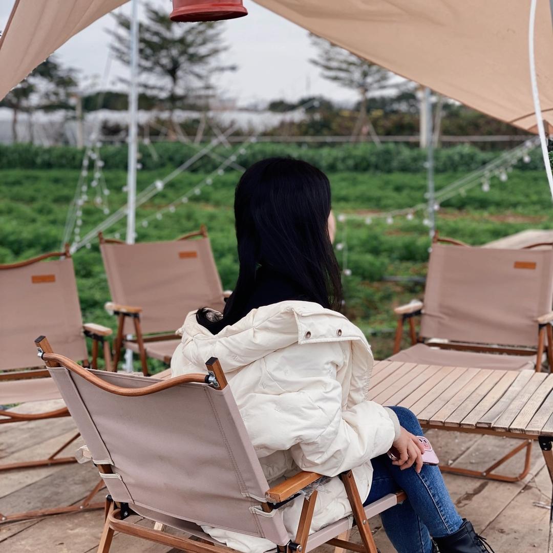 小龙龙玩具精选