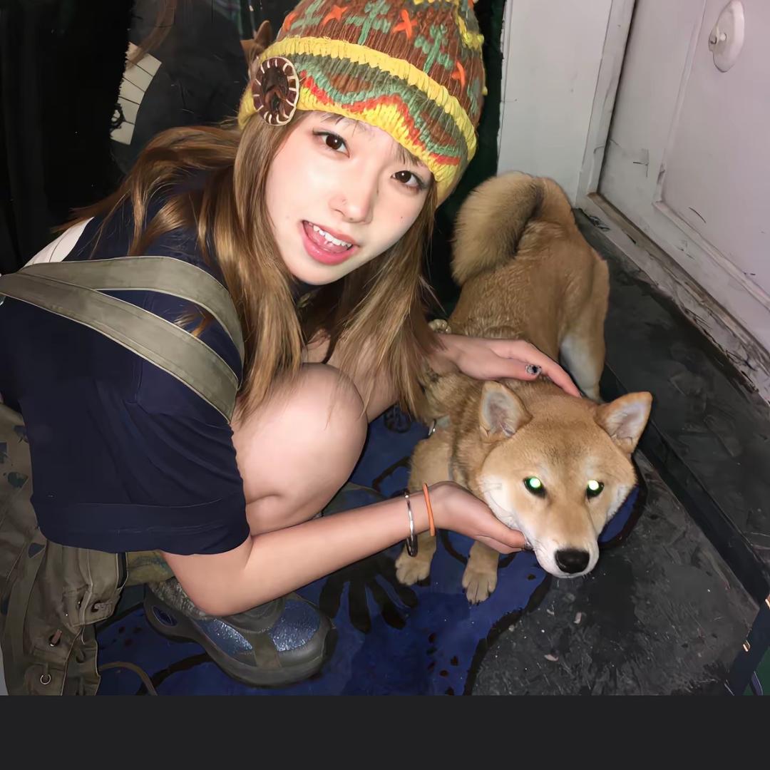 火锅少女🍲