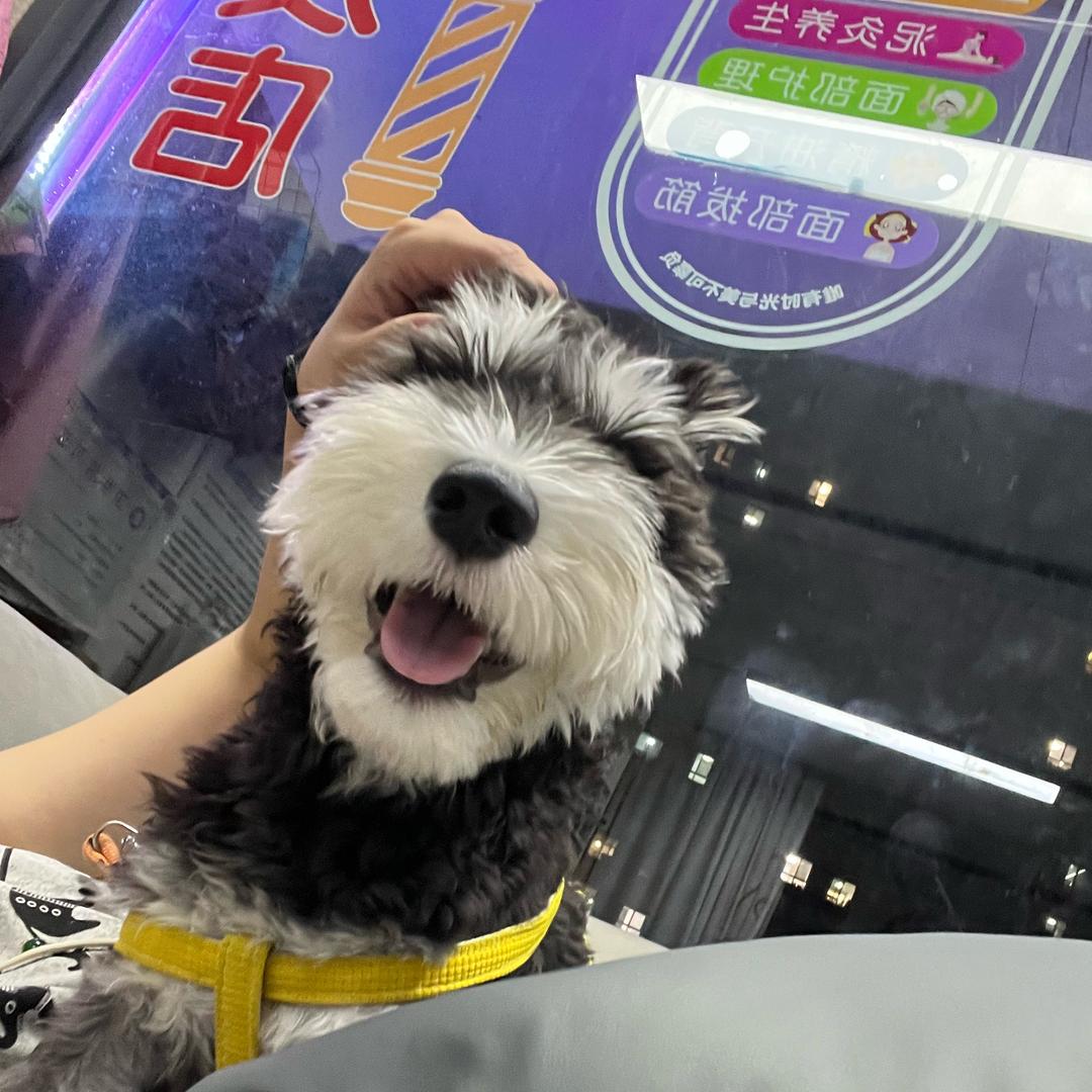 如皋益林美发养生