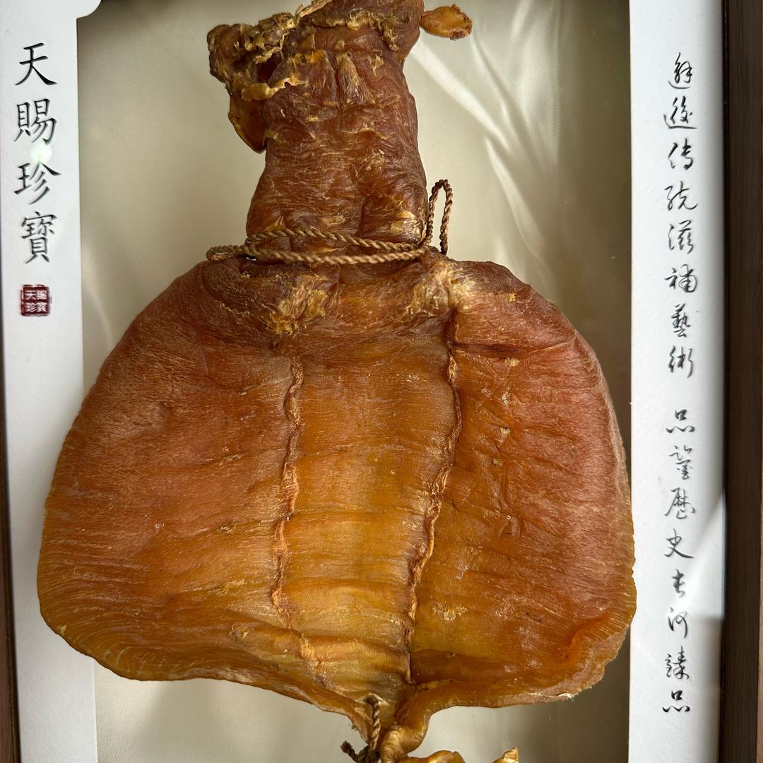 嘉之宝鱼胶滋补行