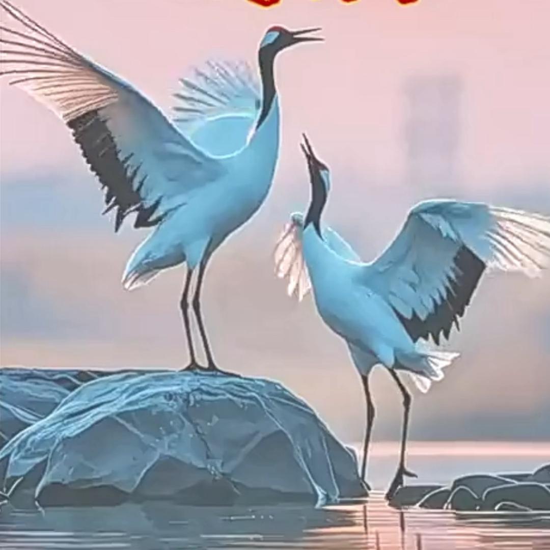 陳國春