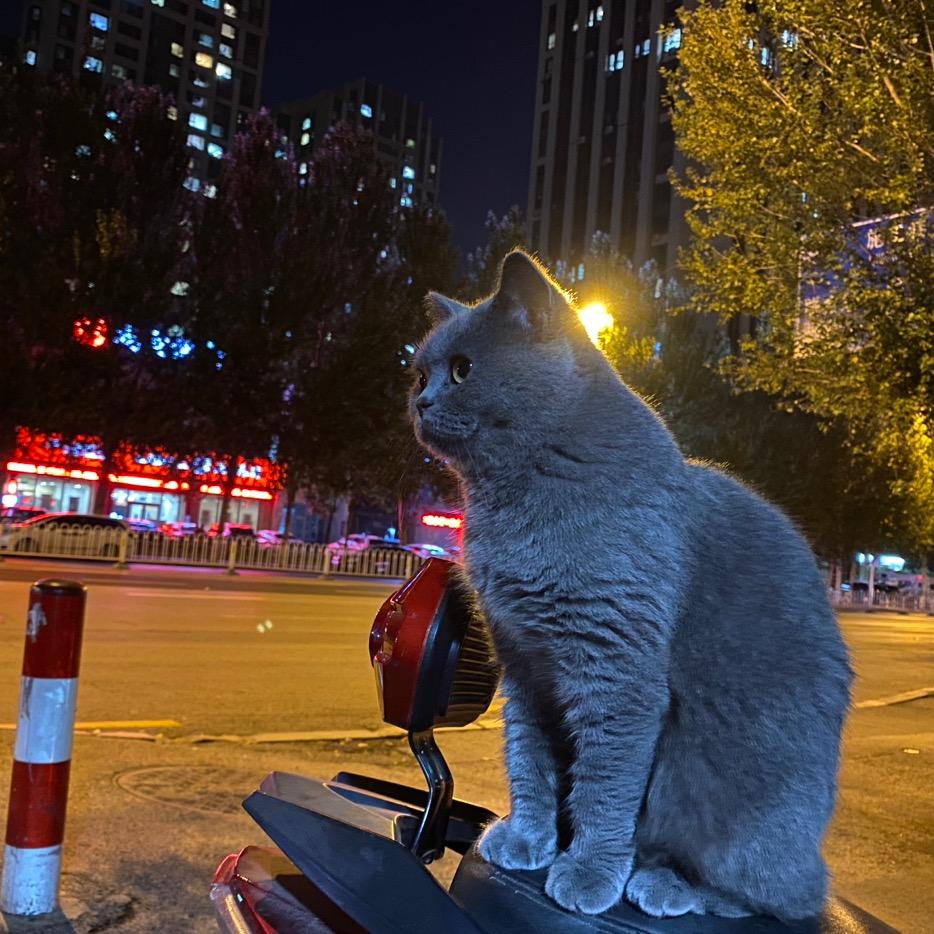 养鞋坊球鞋修护.