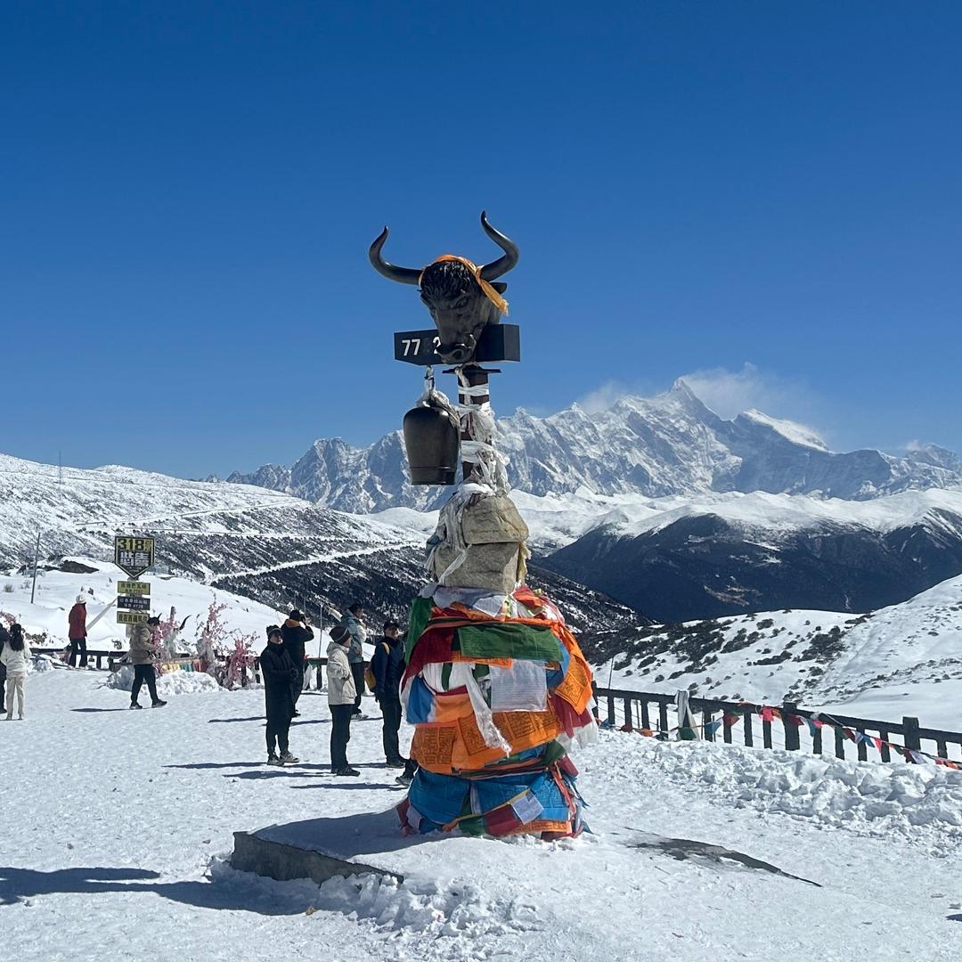 西藏官官【雪域大咖®】