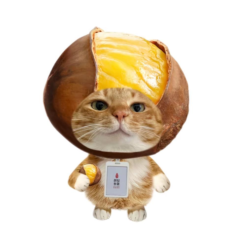 椿·