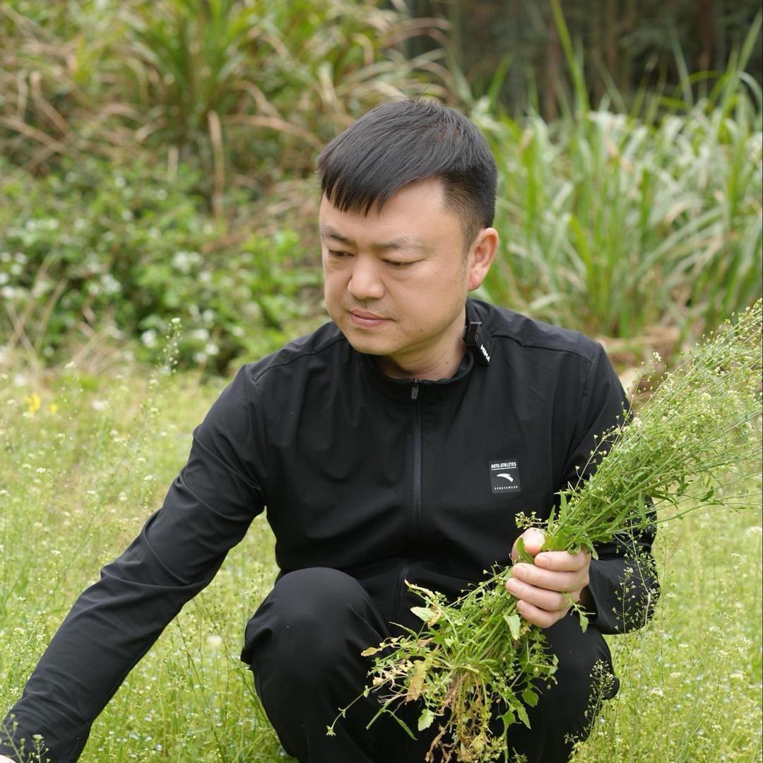 剑哥助手