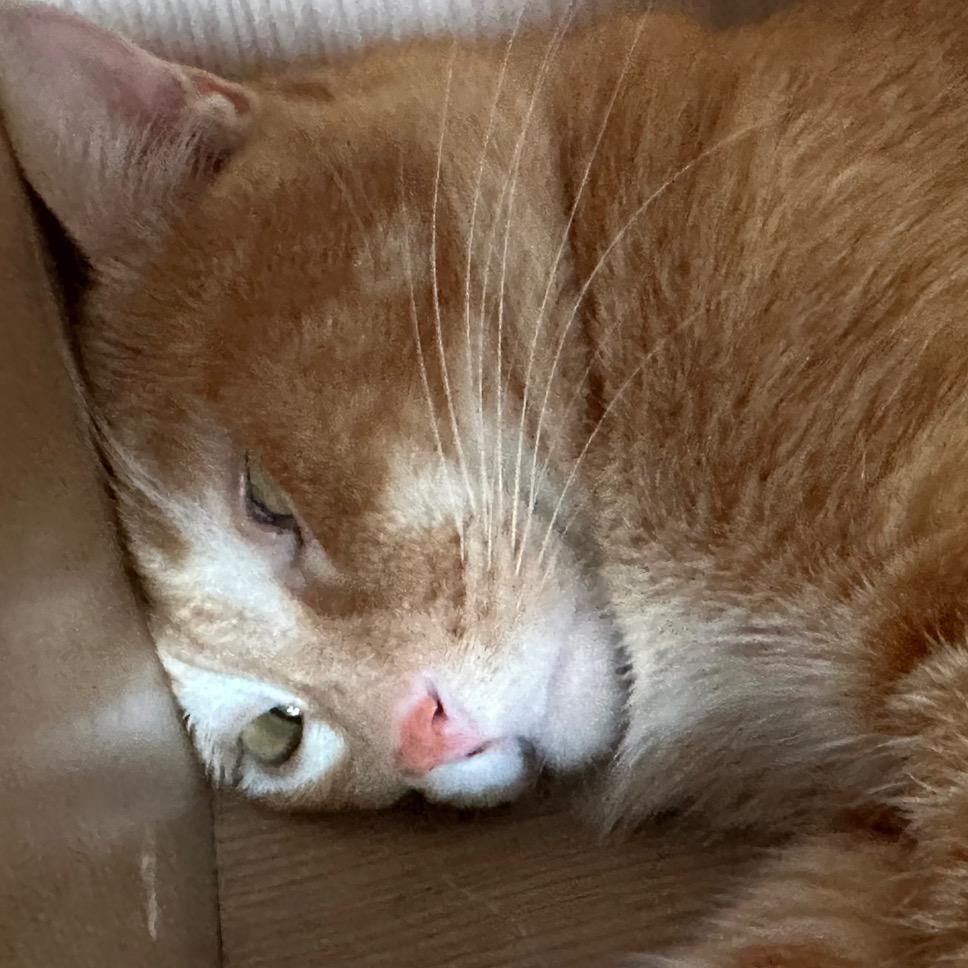 看到我记得叫我要早睡