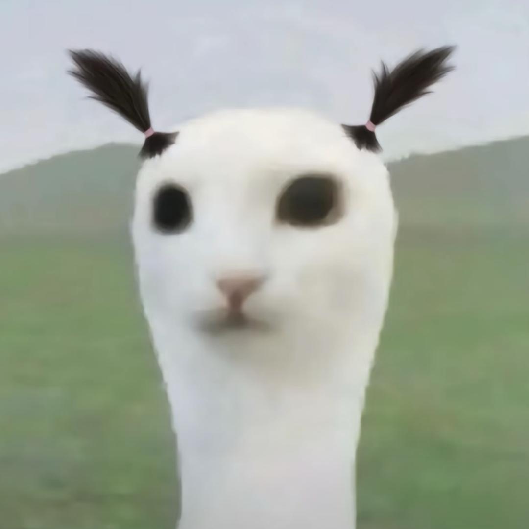 小丸