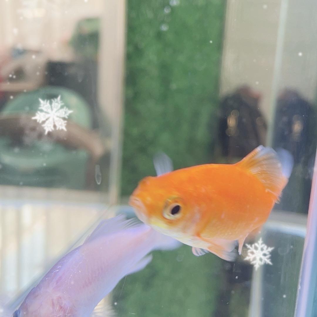 骏马不是马／互赞