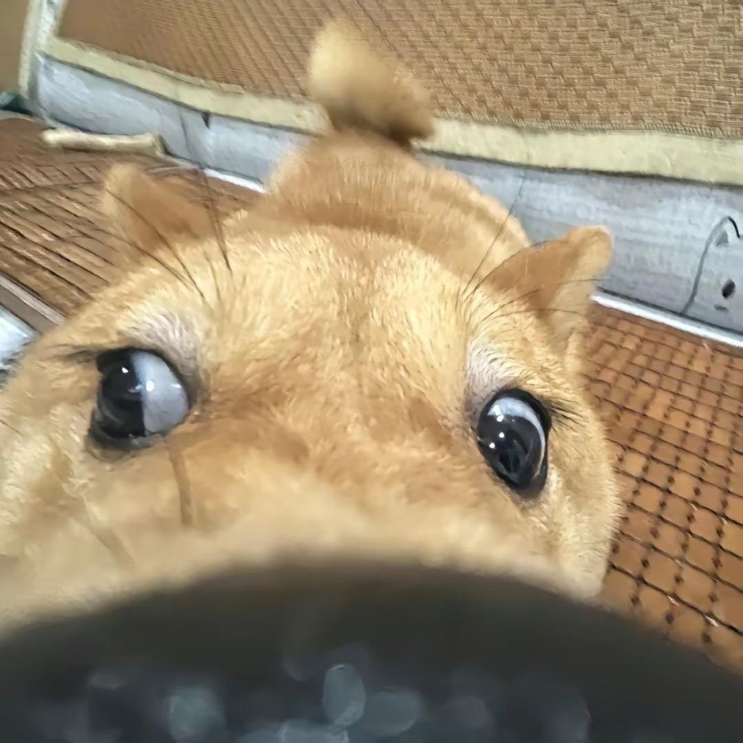 酒精过敏