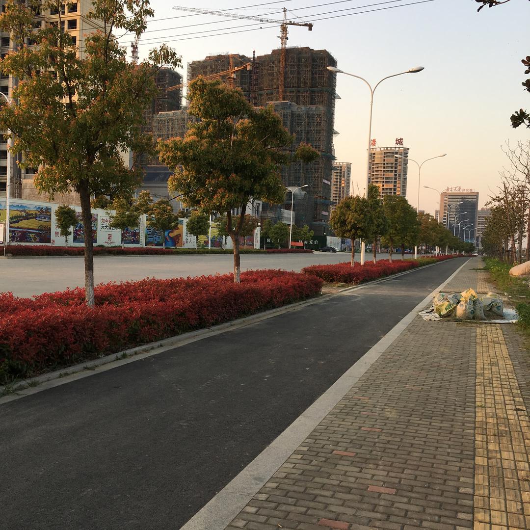 八月火