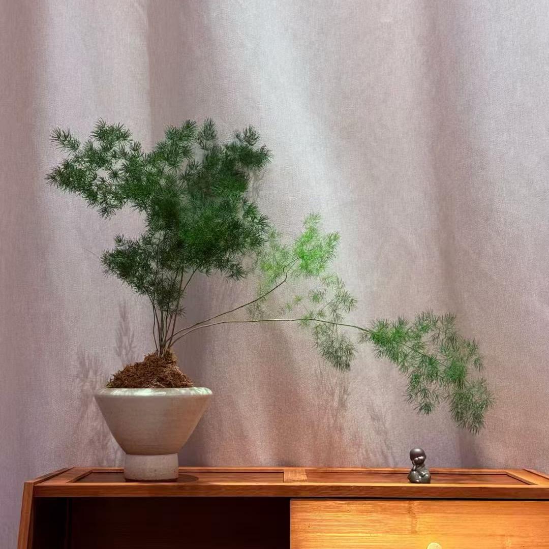 禅度瑜伽丽丽教练