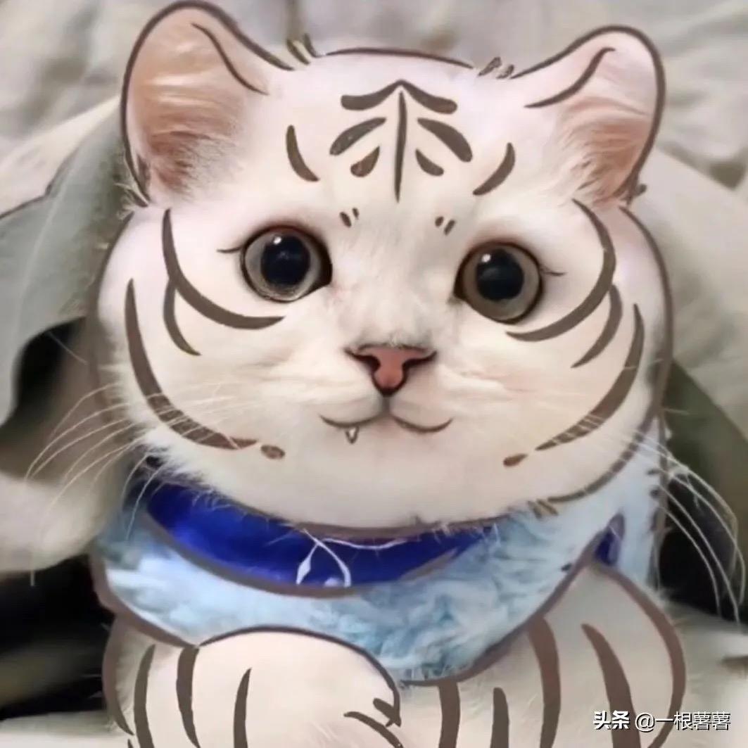 超级泡泡