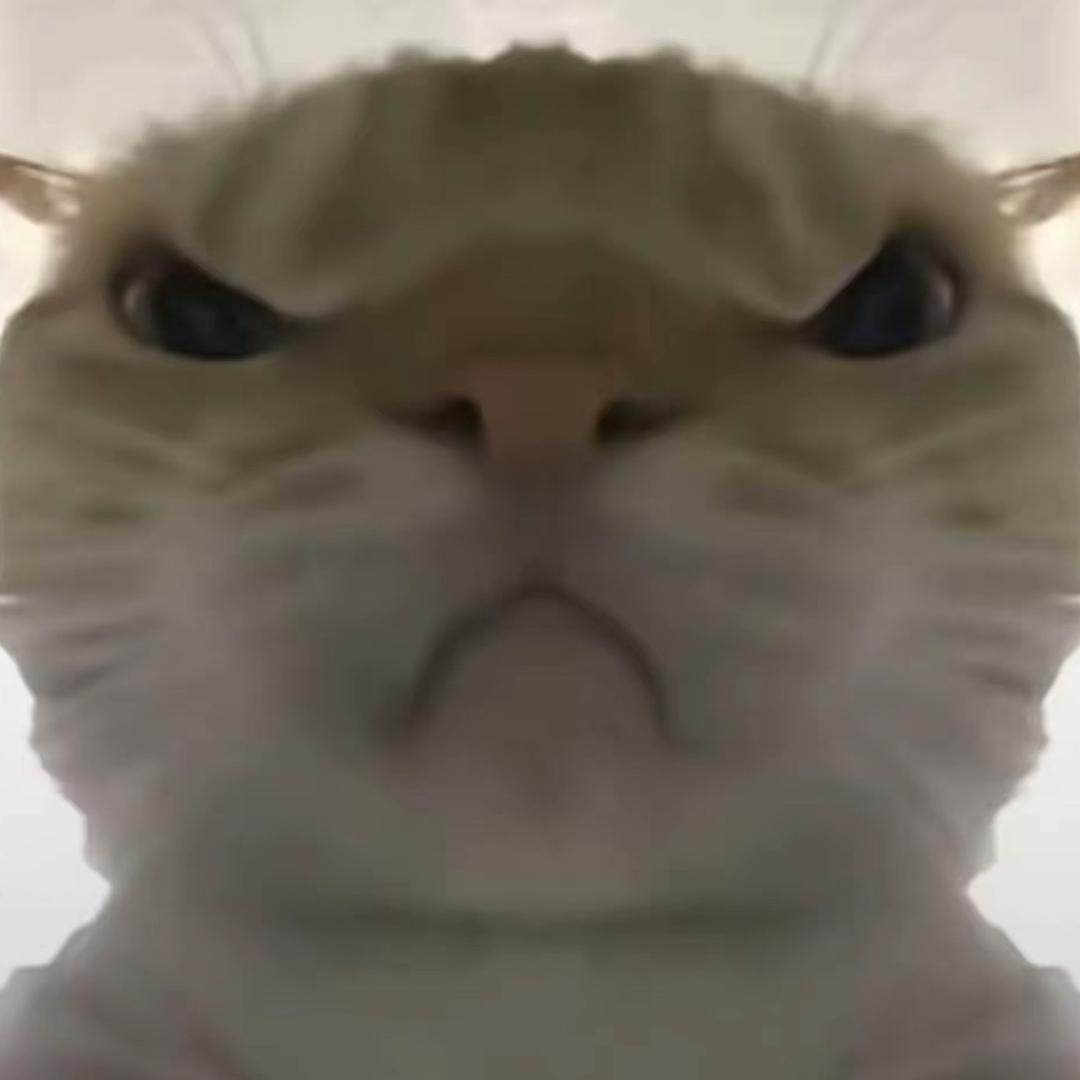 嘉选滋补养生专营店