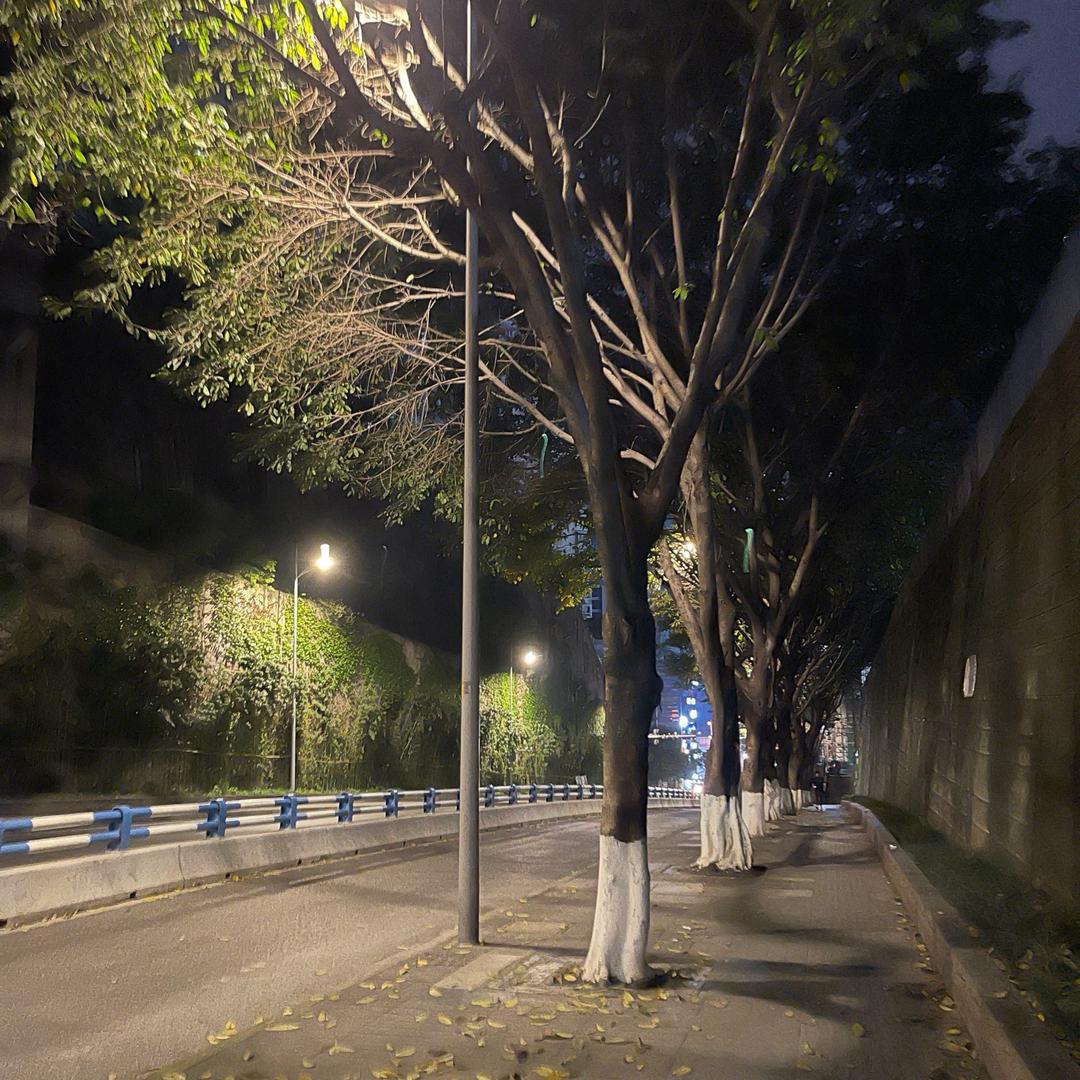 啦啦的日常
