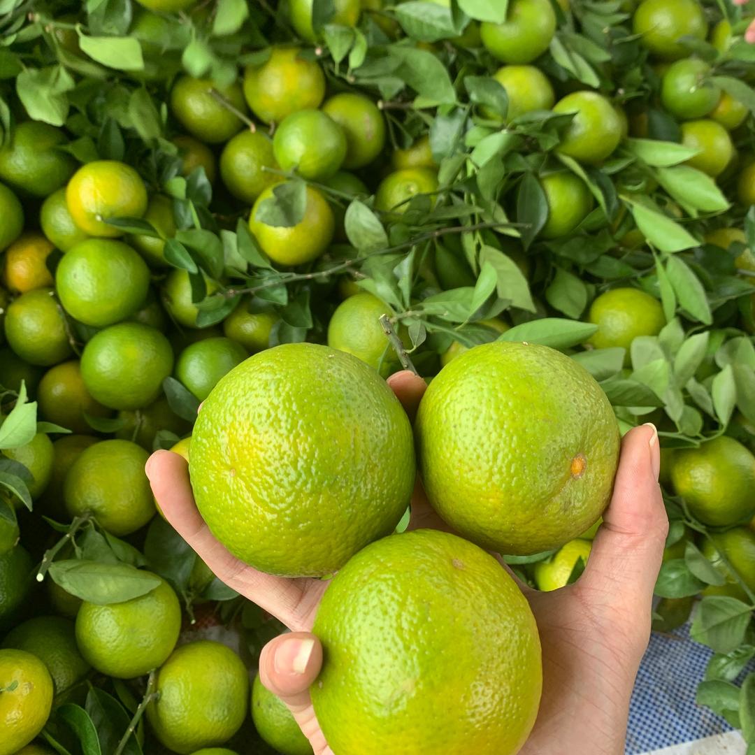 广西宝哥的生鲜水果店