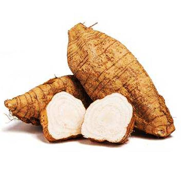 四碌集团（碌总🌝）