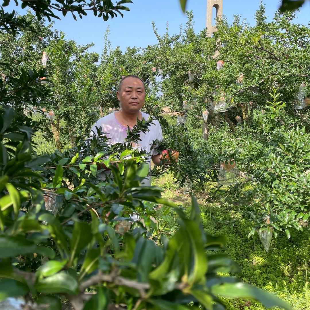 画乡季永旭专卖店