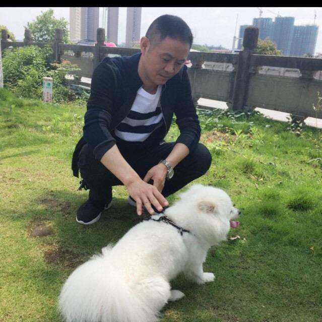 ✨品读人生