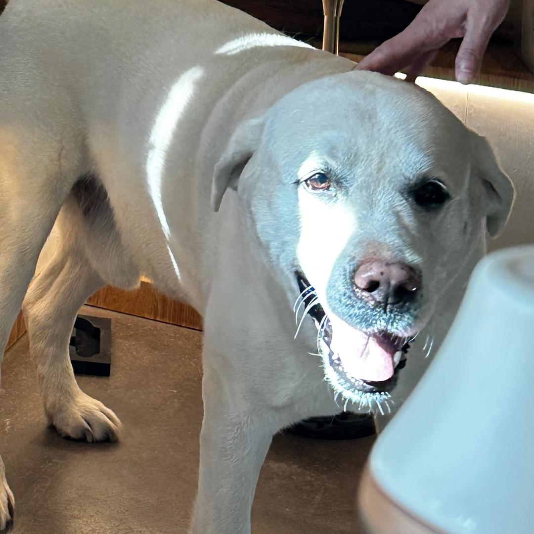 土土土土土豆泥