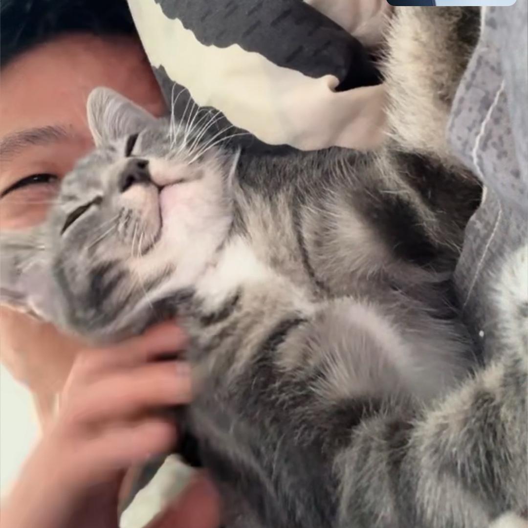 橙子虞