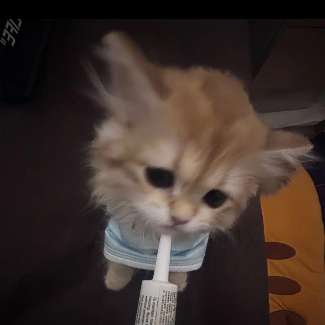 涛