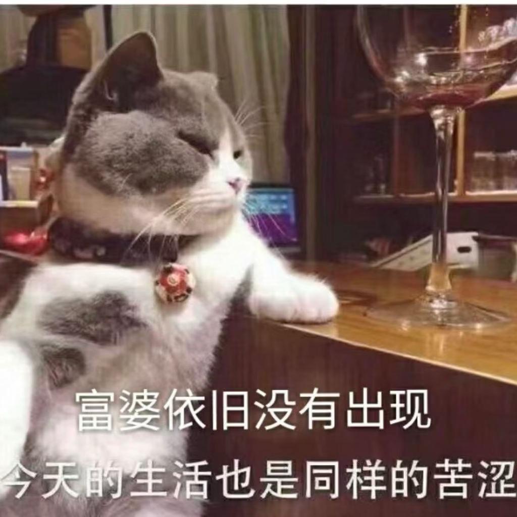 十二生肖龙店阿杰