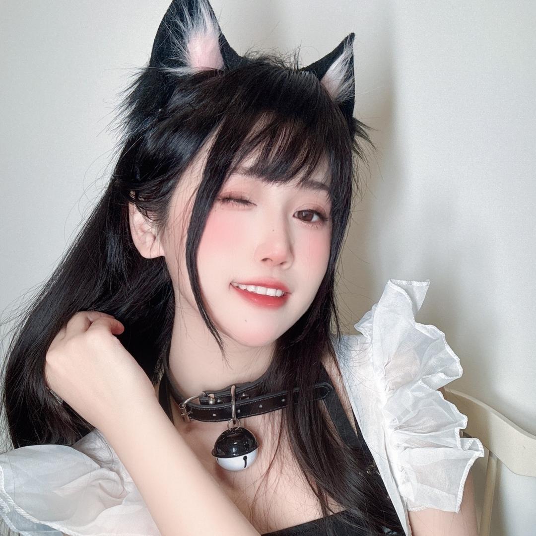 呆猫猫