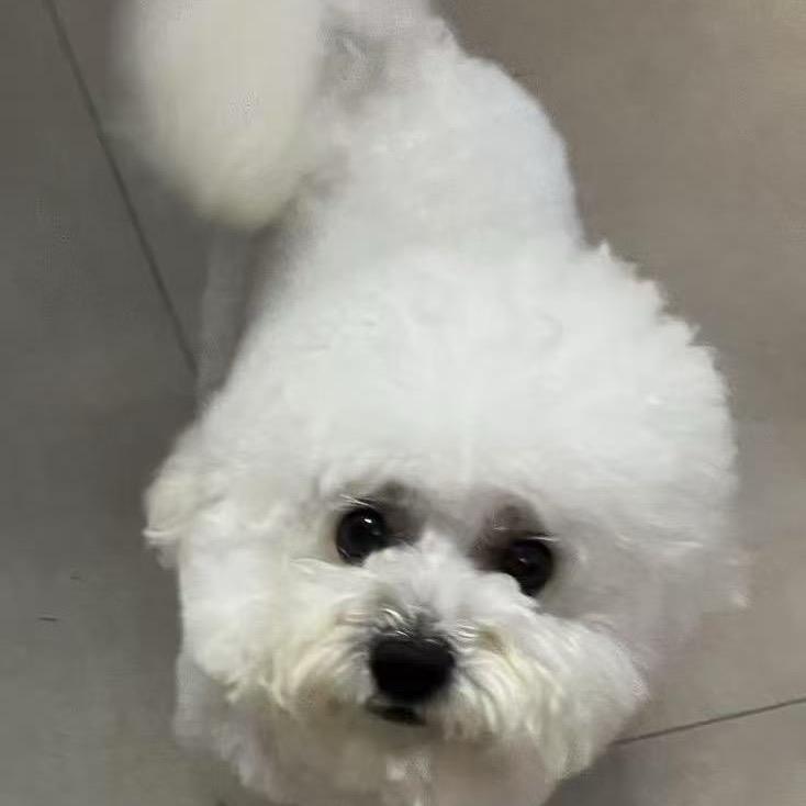 小白的一天