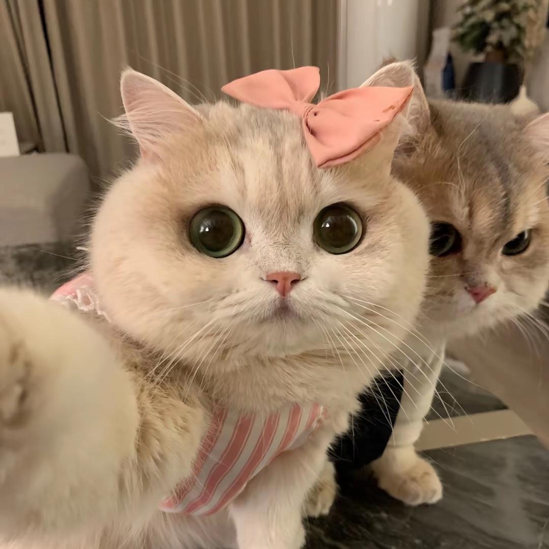 小甜甜¥