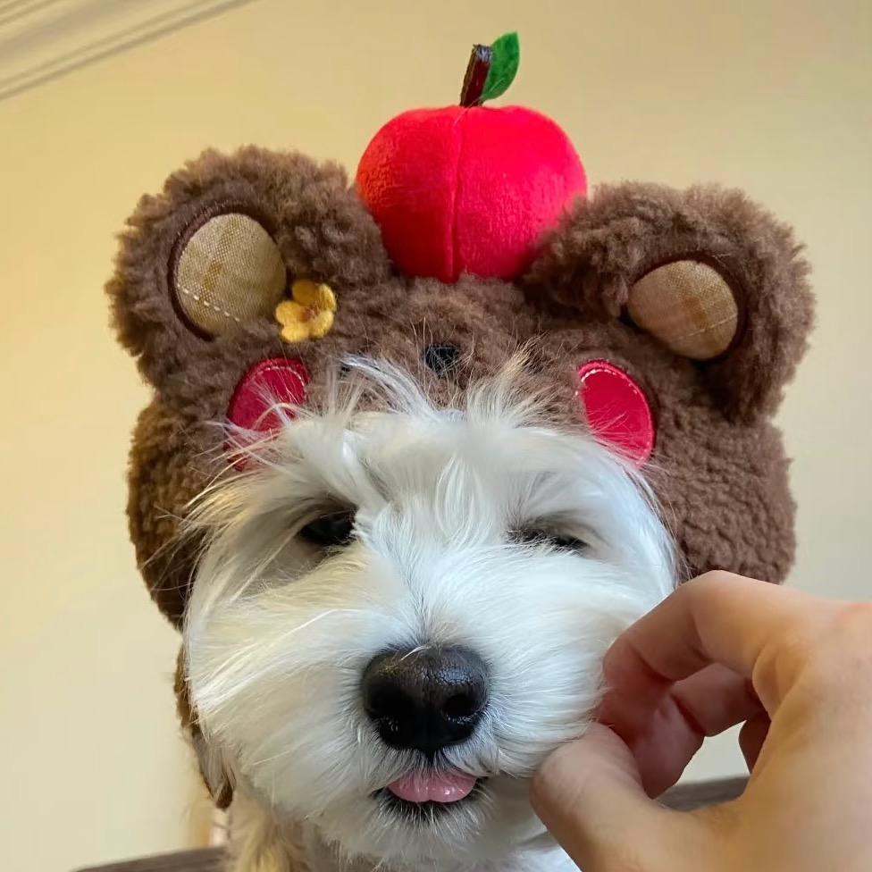 𝙊𝙣𝙡𝙮 𝙤𝙣𝙚 .