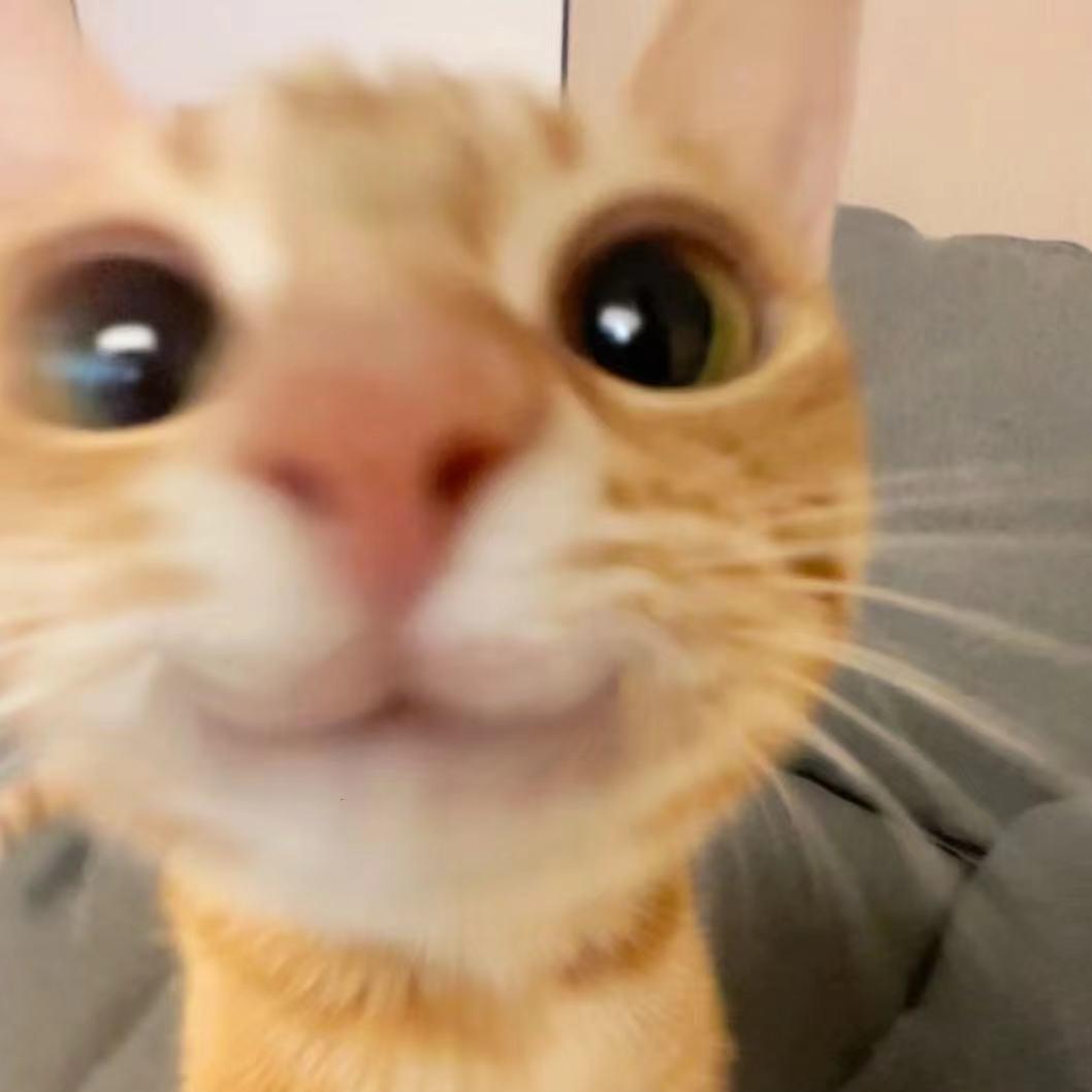 泡面只能去沙漠看星星