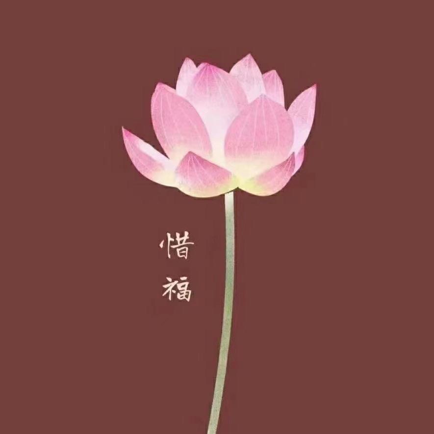 乄孙小胖。☆