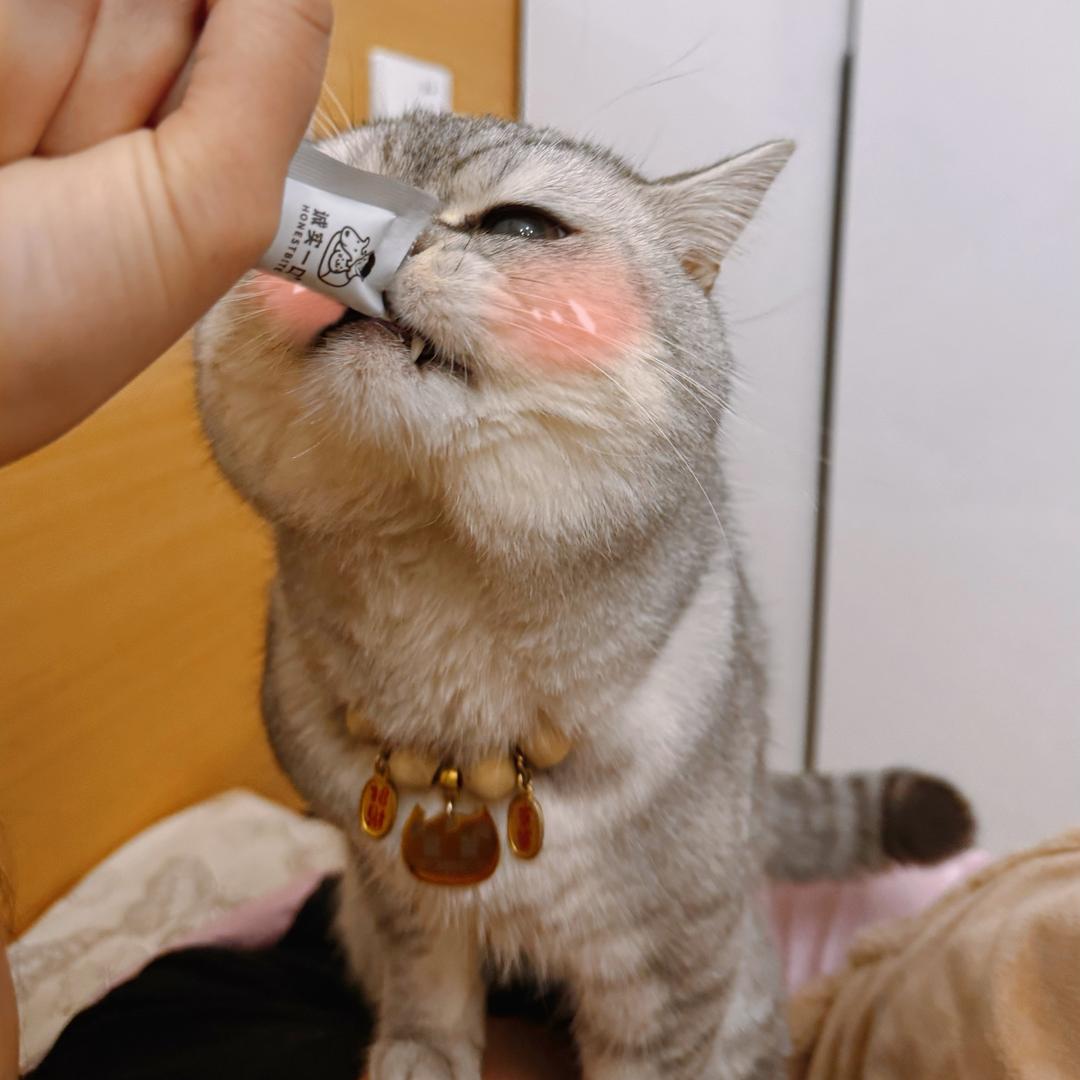 张发财