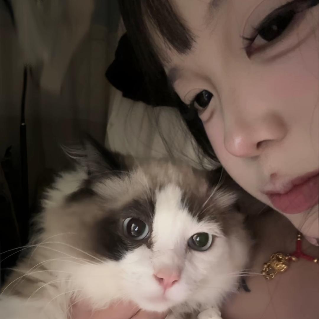 遇.🐾