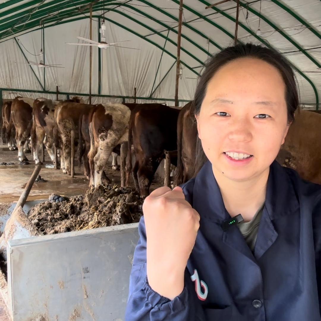 娜娜的牛日子