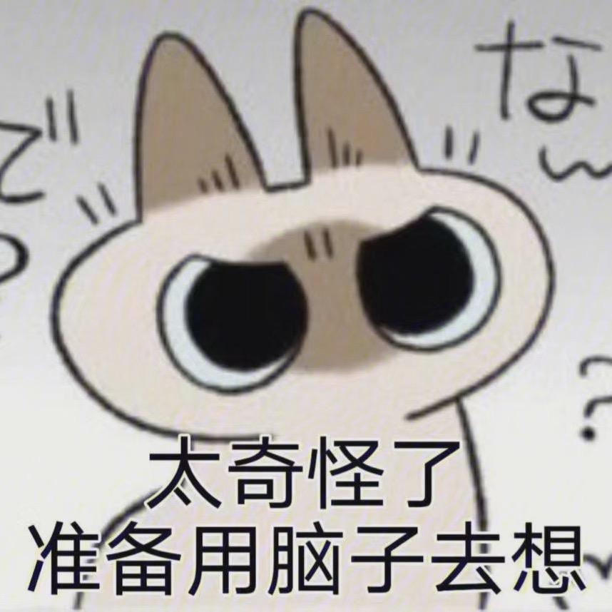白日梦不打草稿