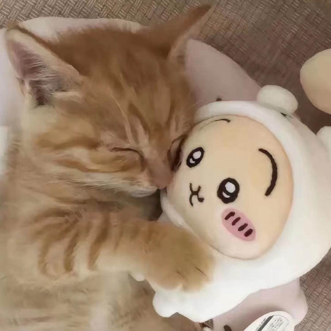 团某端团子