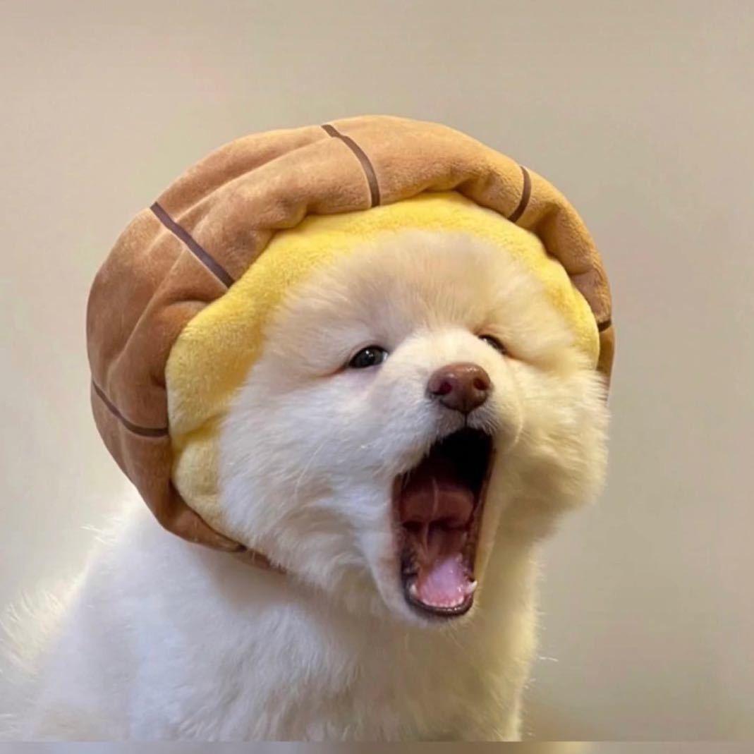 小妃🌈