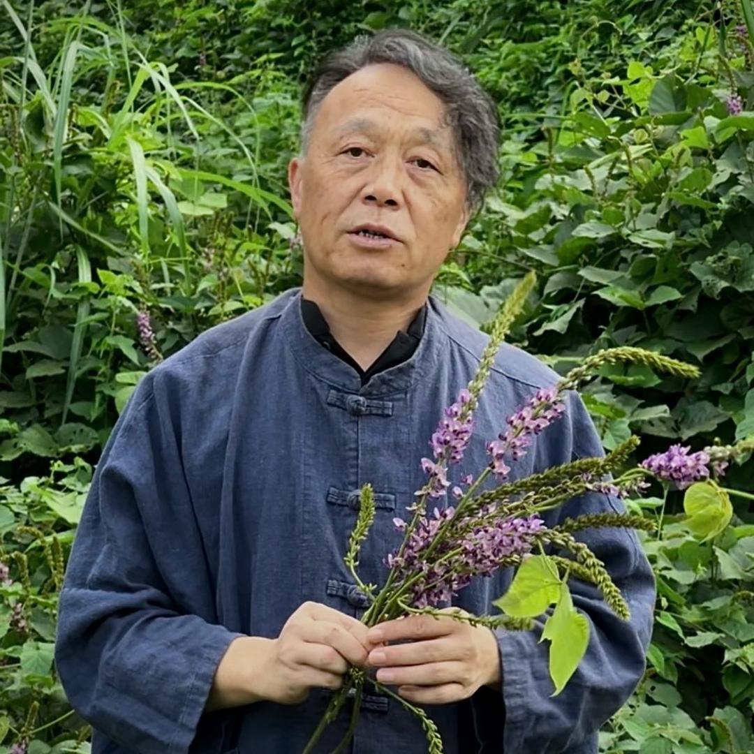 贵州无闲草-张师傅