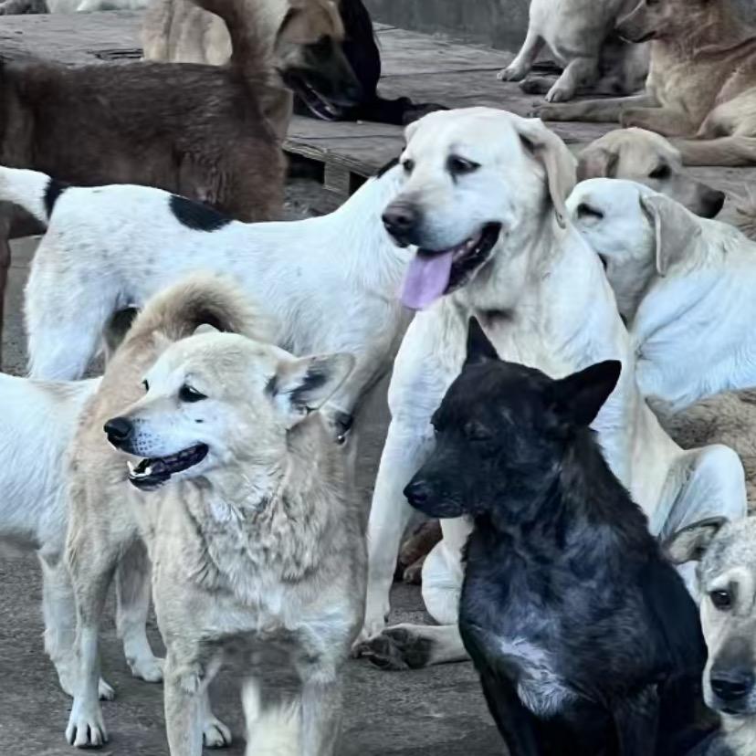 万山区雾咛贸易商行