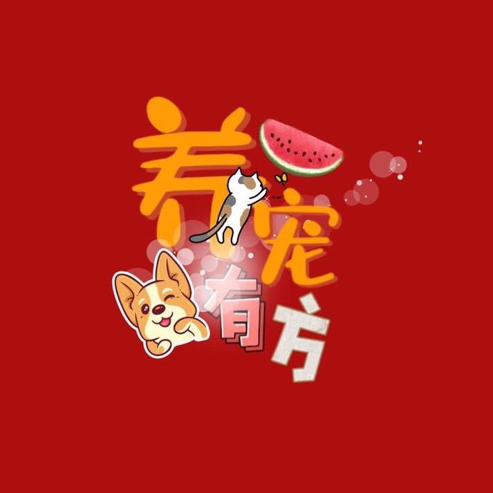 养宠有方