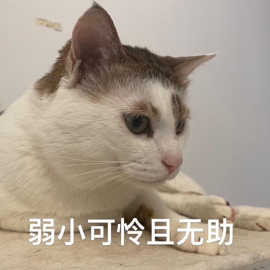 三代鹅