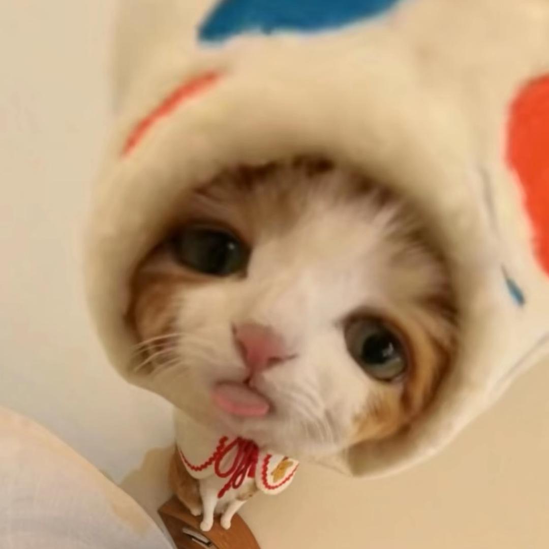 .冰淇淋ɞ-