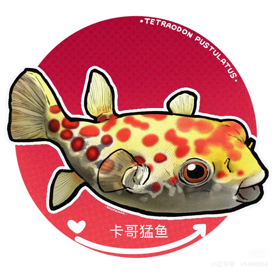 卡哥猛鱼