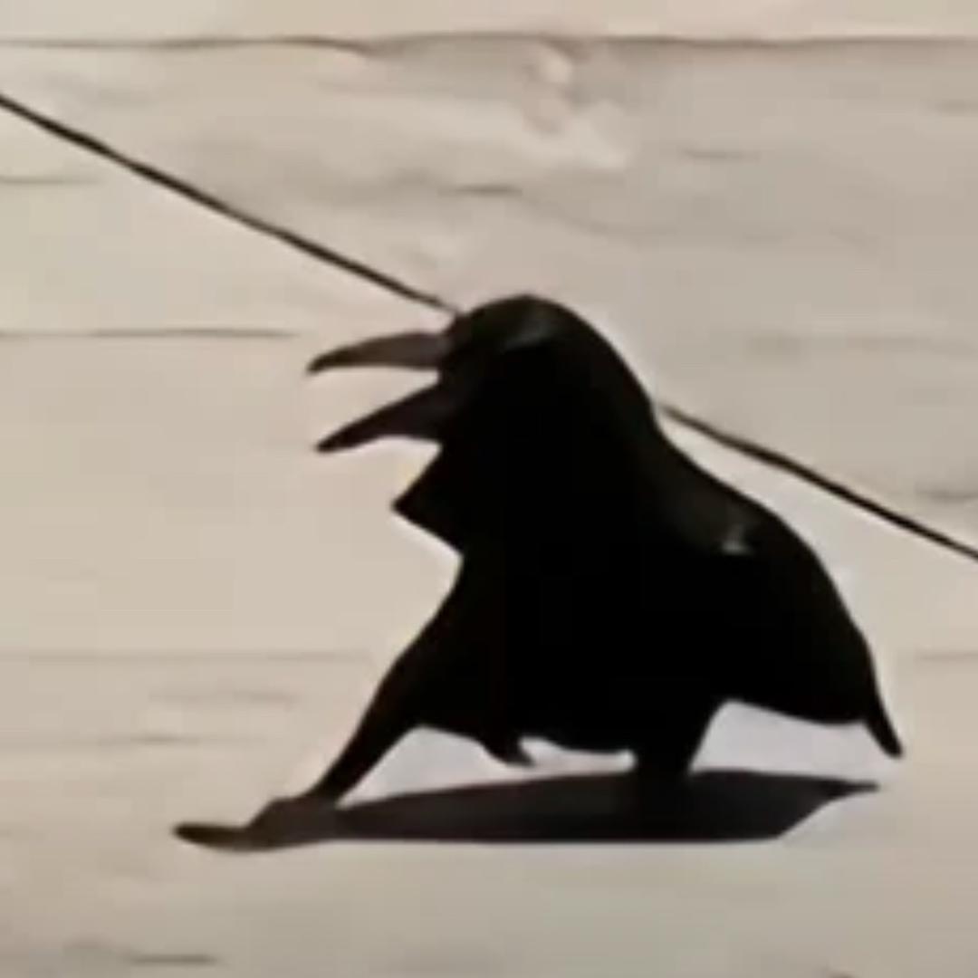 啊这这这这这是做什么