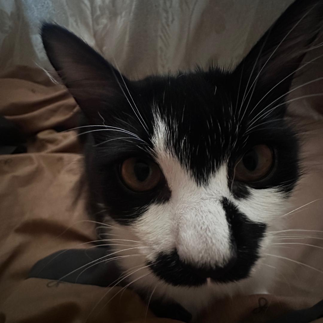 十二丁（打工版）