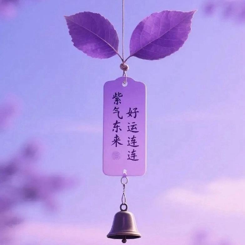 一路向阳