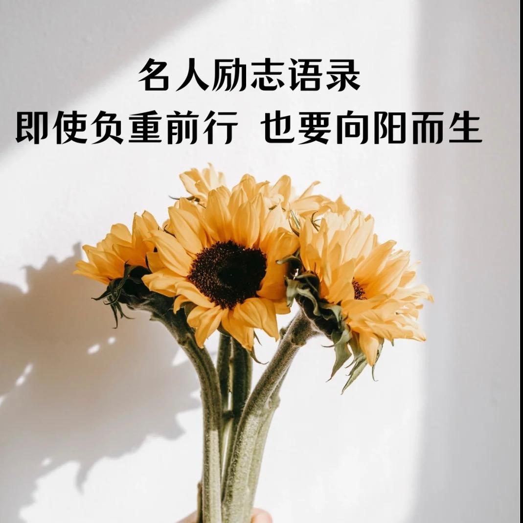 木木书单