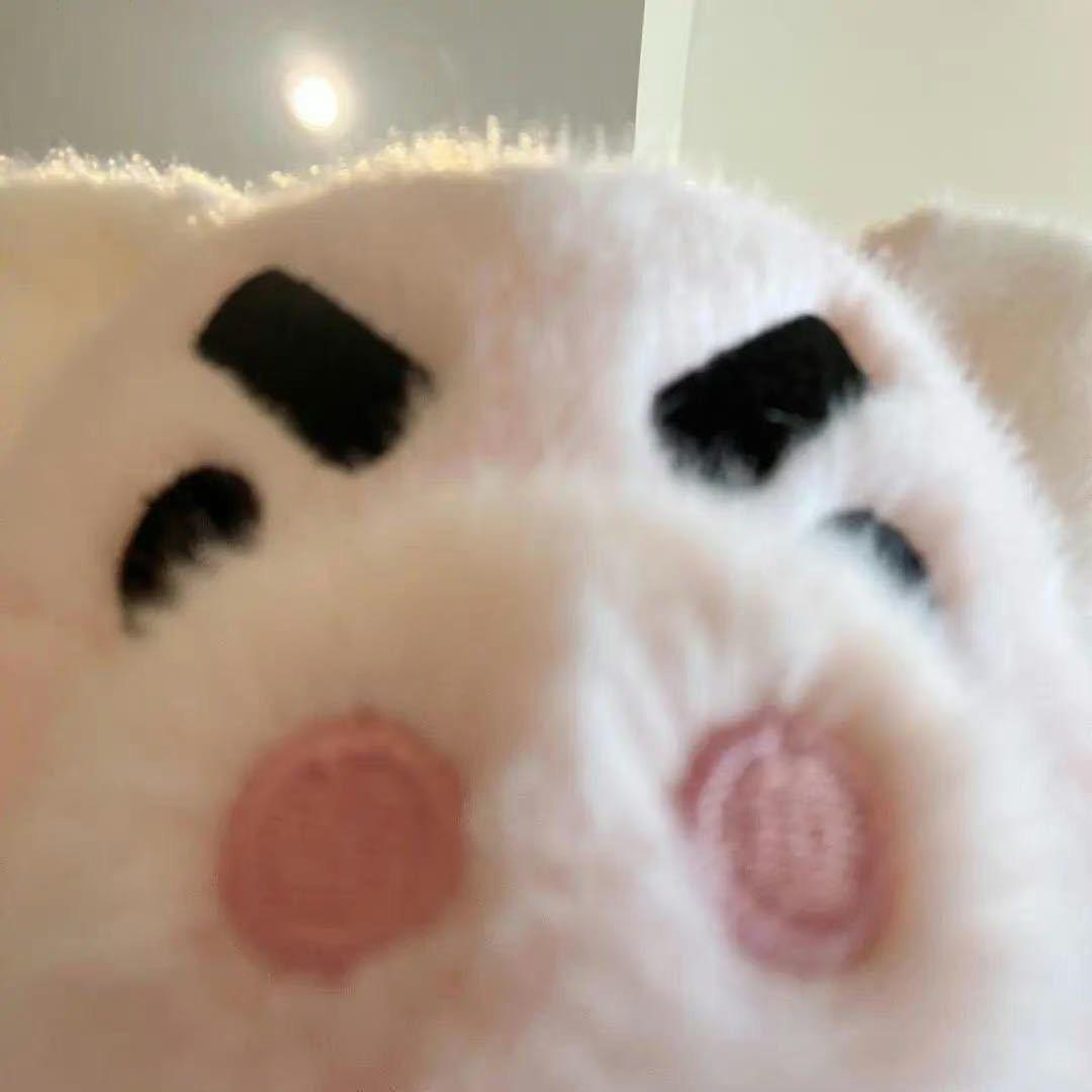 田帥.